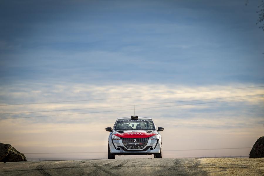  Peugeot 208 Rally 4 2020 года  (фото 7 из 25)